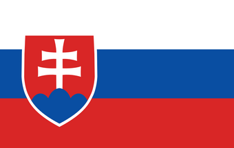 Slovakia Flag Illustration