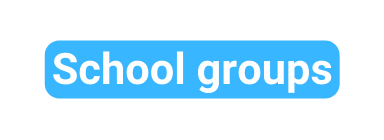School groups
